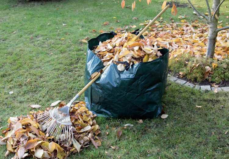 Garden Waste