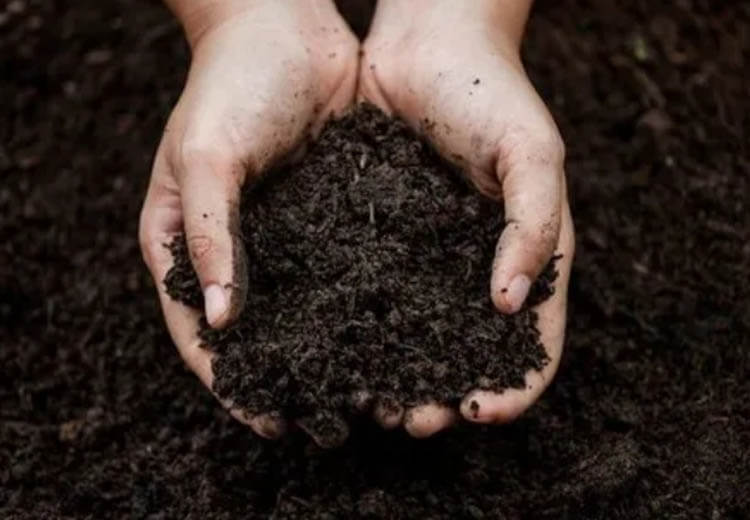 Sludge Waste
