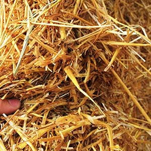 Crop Straw