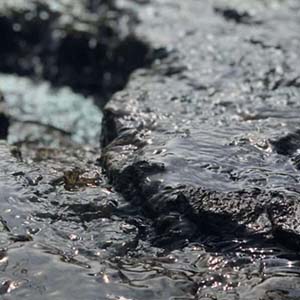River Sludge