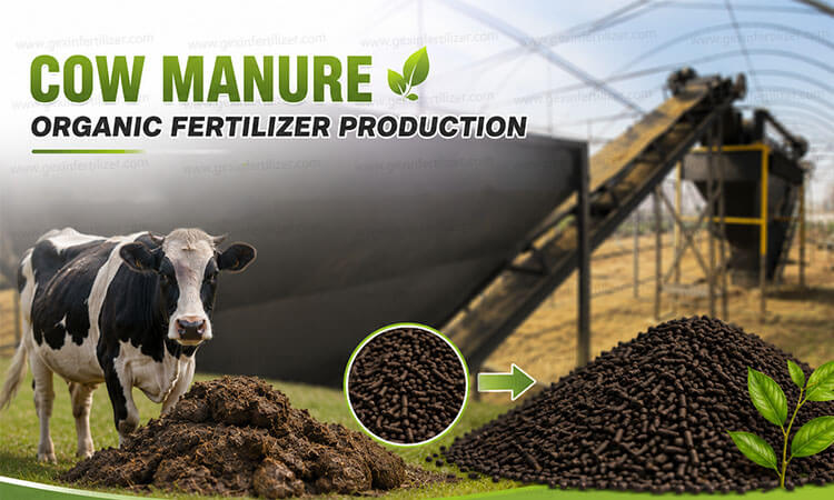 Cow Manure Organic Fertilizer Production