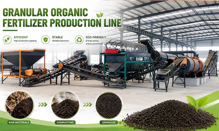 Granular Organic Fertilizer Production Line