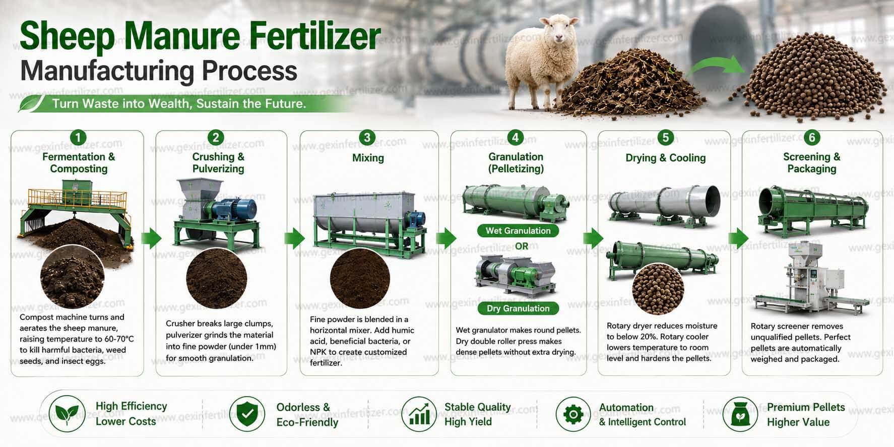 Sheep Manure Fertilizer Manufacturing Process
