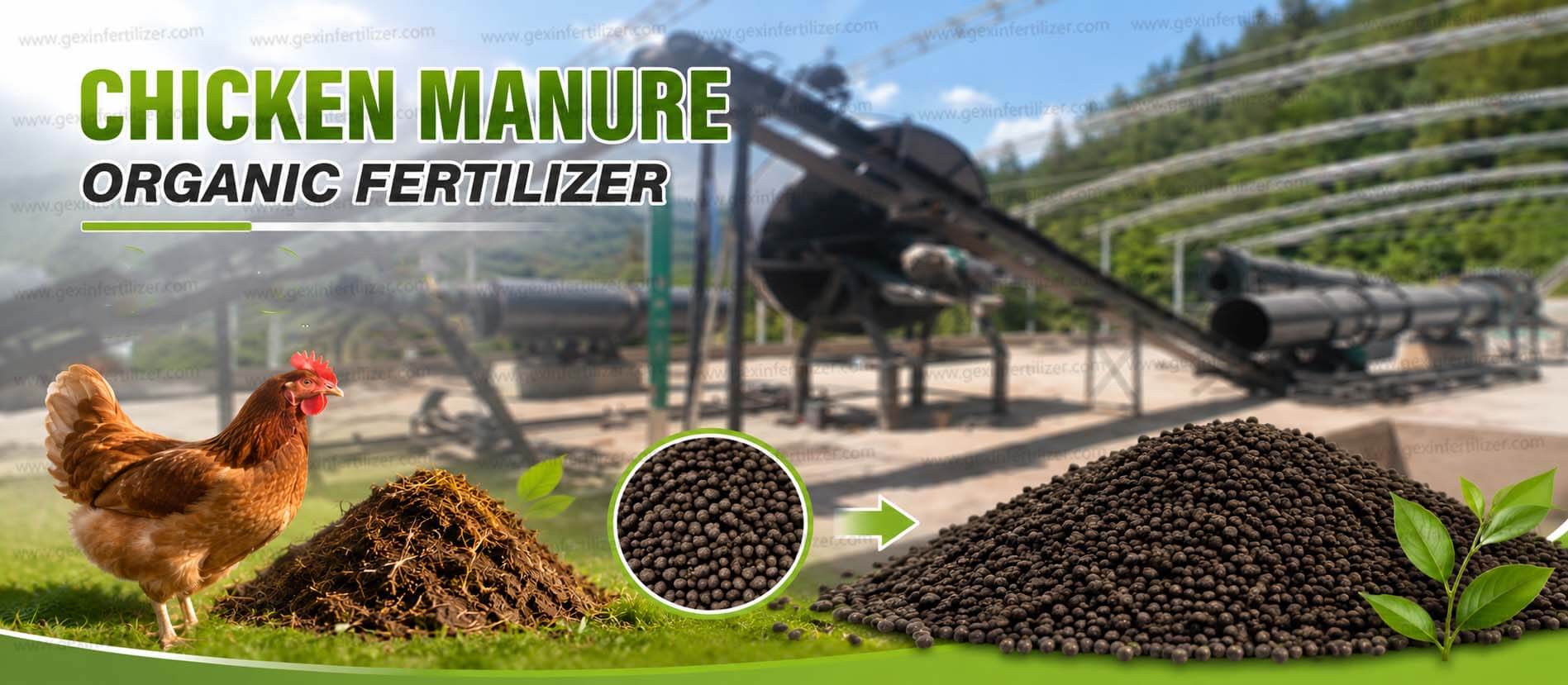 complete chicken manure fertilizer production line