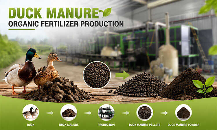 Duck Manure Organic Fertilizer Production